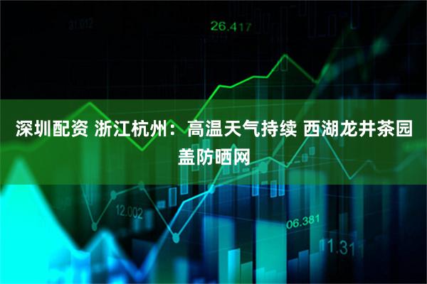 深圳配资 浙江杭州：高温天气持续 西湖龙井茶园盖防晒网